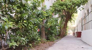 Hotel Casa Coloretta Miami Beach Zewnętrze zdjęcie